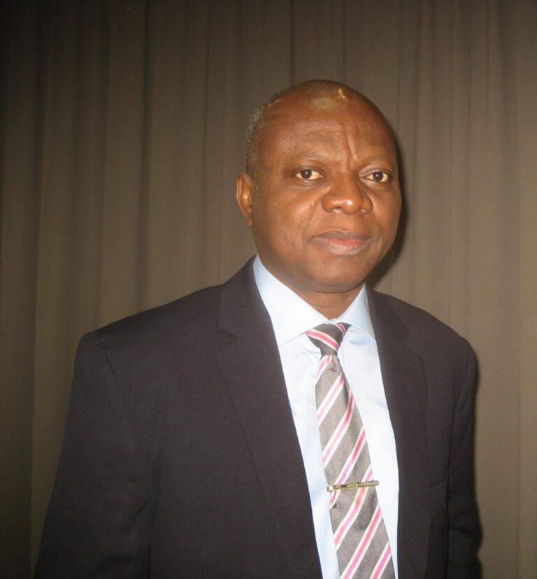 Portrait of Professor Abel Idowu Olayinka