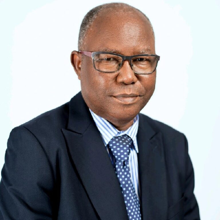 Portrait of Professor Nnamdi Isaac Obasi