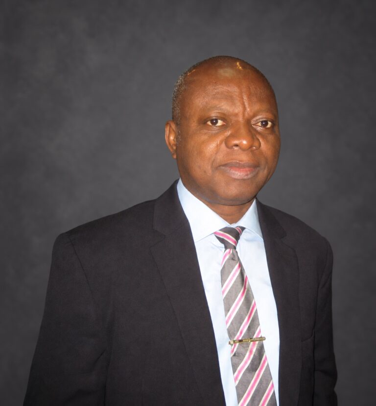 Portrait of Prof. Abel Idowu Olayinka