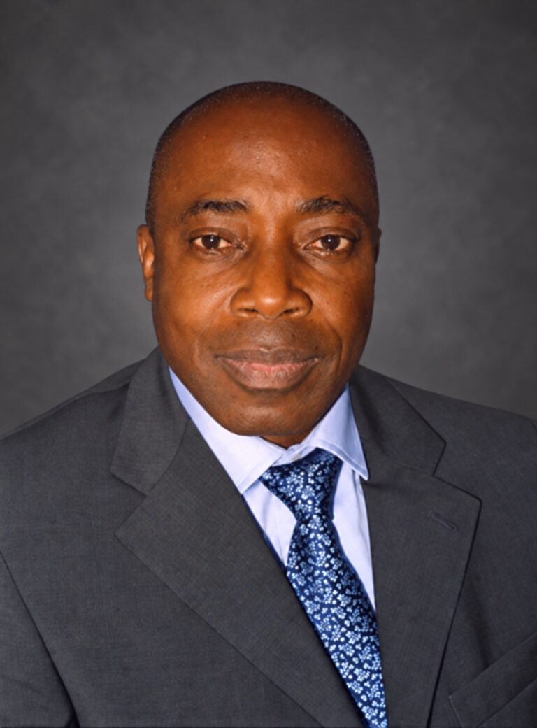 Portrait of Prof. Sola Akinrinade